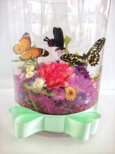 Бабочки в коробке с цветами купить спирит ритуал магазин